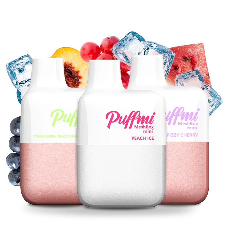 Puffmi Meshbox Mini 20mg Einweg E-Zigarette