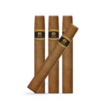 XO Havana Cigar- Alle Sorten